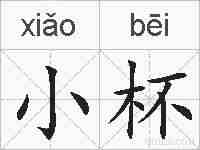 小杯的拼音