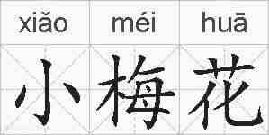 小梅花的拼音