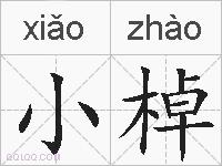 小棹的拼音
