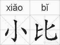 小比的拼音