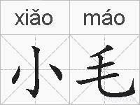 小毛的拼音