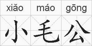 小毛公的拼音