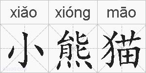 小熊猫的拼音