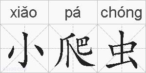 小爬虫的拼音