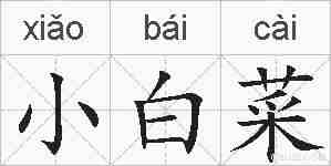 小白菜的拼音