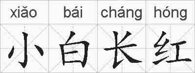 小白长红的拼音