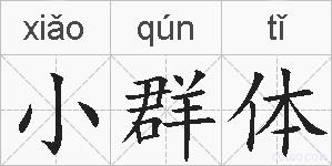 小群体的拼音