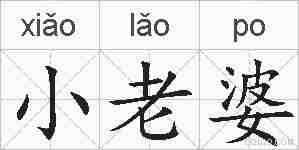 小老婆的拼音