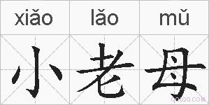 小老母的拼音