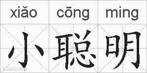 小聪明的拼音
