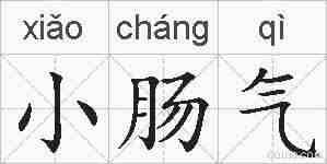 小肠气的拼音