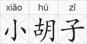 小胡子的拼音