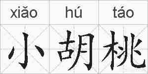 小胡桃的拼音