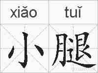 小腿的拼音