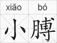小膊的拼音