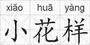 小花样的拼音