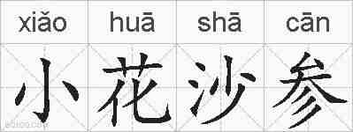 小花沙参的拼音