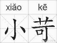 小苛的拼音