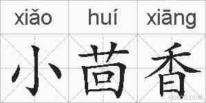 小茴香的拼音