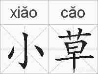 小草的拼音