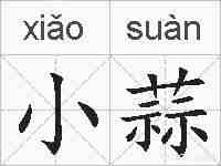 小蒜的拼音