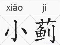 小蓟的拼音