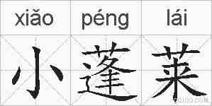 小蓬莱的拼音