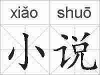 小说的拼音