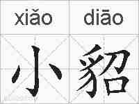 小貂的拼音