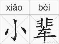 小辈的拼音