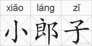 小郎子的拼音