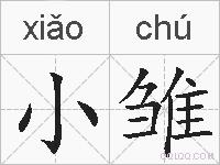 小雏的拼音