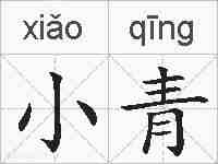 小青的拼音