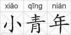小青年的拼音