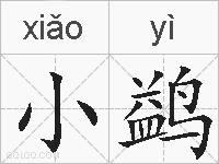 小鹢的拼音