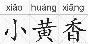 小黄香的拼音