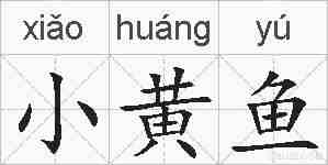 小黄鱼的拼音