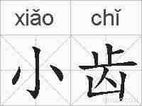小齿的拼音
