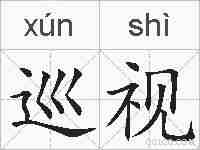巡视的拼音