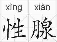 性腺的拼音