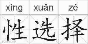 性选择的拼音