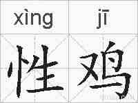 性鸡的拼音