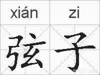 弦子的拼音
