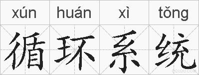 循环系统的拼音