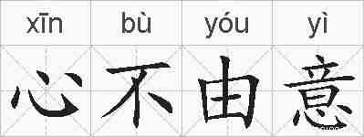 心不由意的拼音