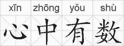 心中有数的拼音