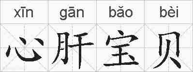 心肝宝贝的拼音