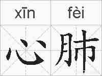 心肺的拼音