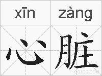 心脏的拼音