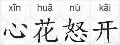 心花怒开的拼音